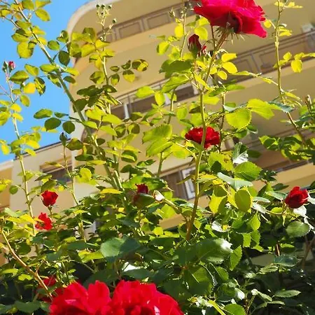 Ξενοδοχείο Joya Park