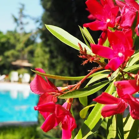 Joya Park 4* גולדן סנדס